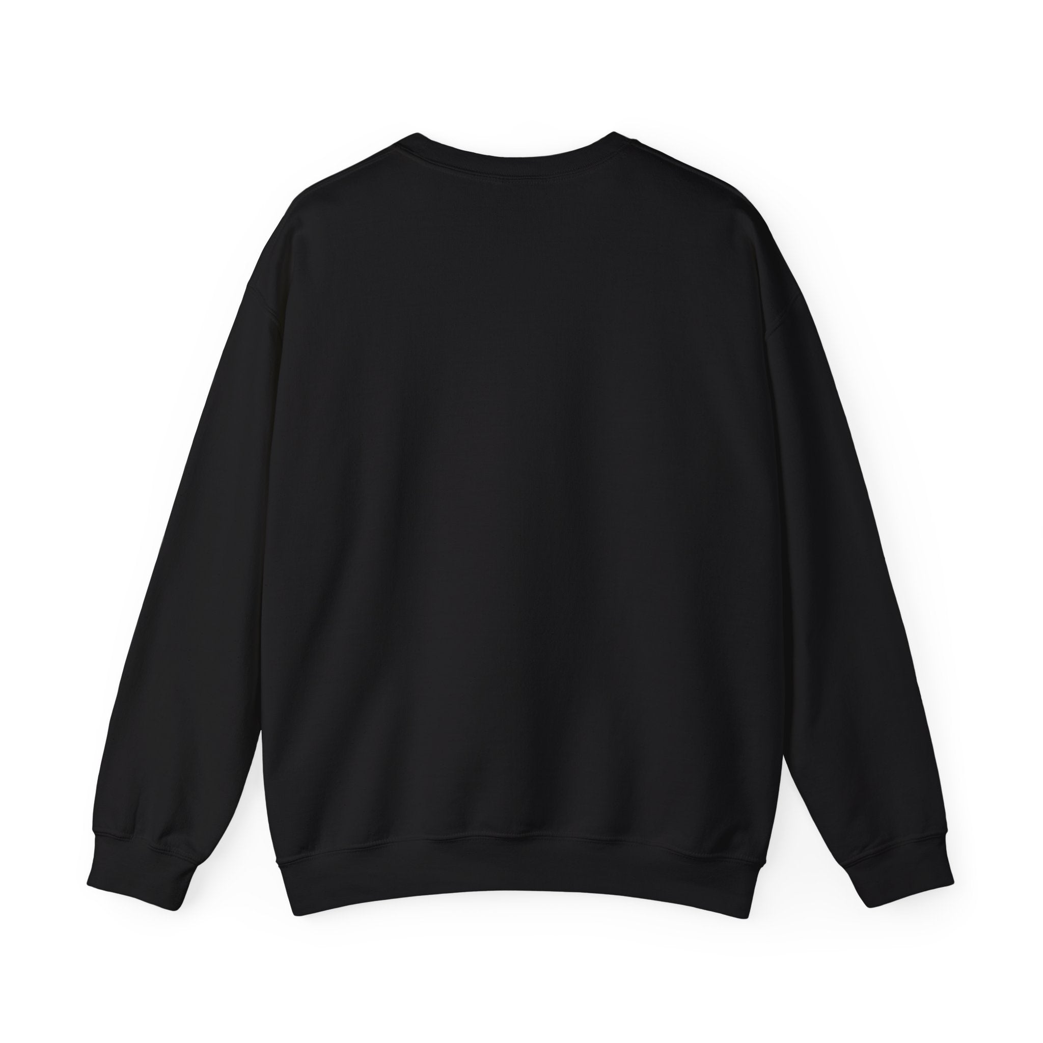 I Like My Cat More Than People Sweatshirt | Black Cat, Funny Cat Shirt, Witchy Cat