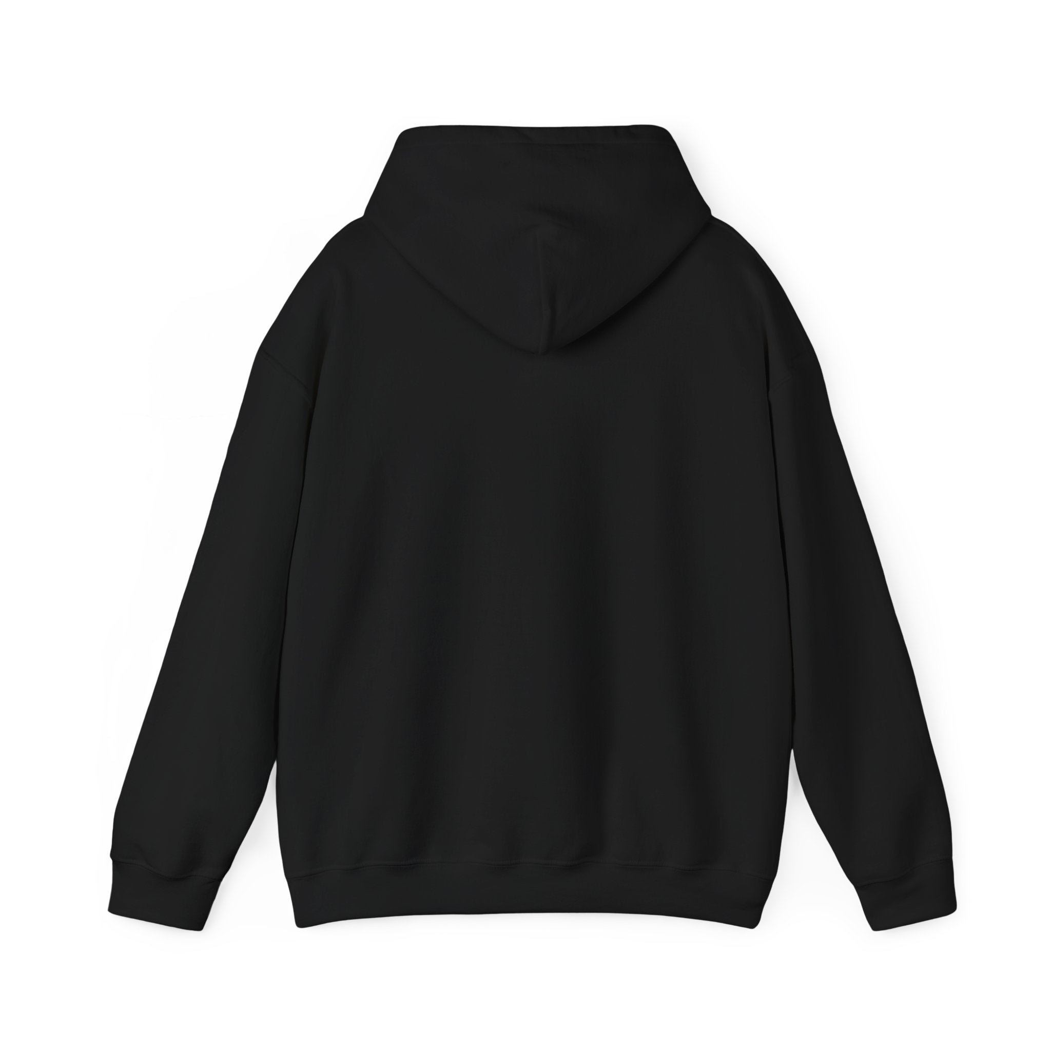 I Like My Cat More Than People Hoodie | black cat, witchy cat, funny cat